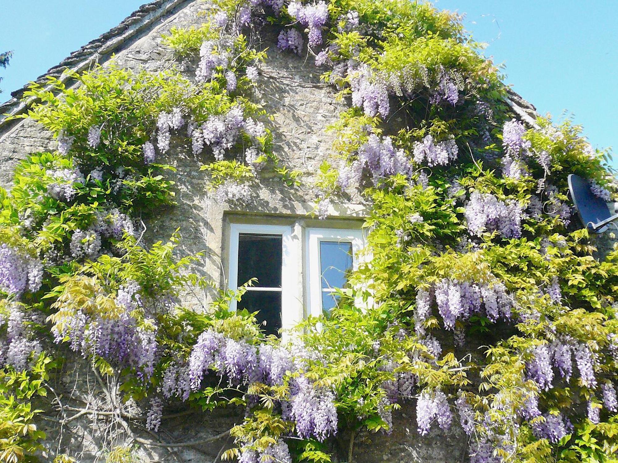 Ivy Cottage Chedworth Exterior foto